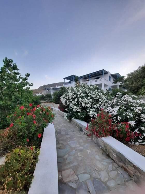 Medusa Accommodation Livadakia ภายนอก รูปภาพ